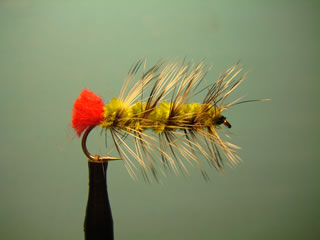Olive Woolly Worm (10)